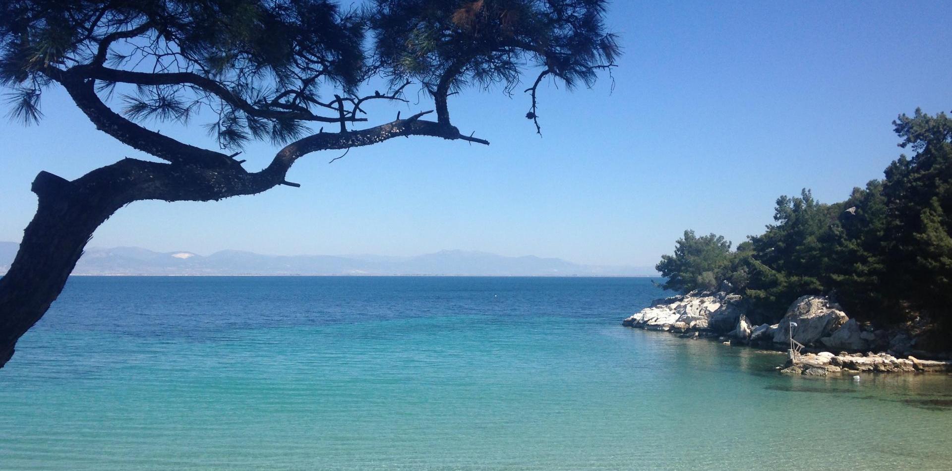 frontpage header image 